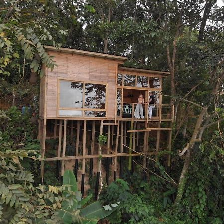 فيلا Luxury Tiny House - مينسا المظهر الخارجي الصورة